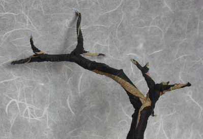 Arbre II (Cu Kim Ngoc) 1
Papier kraft Alios + papier de soie 45x45 cm
