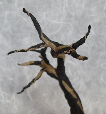 Arbre II (Cu Kim Ngoc) 3
Papier kraft Alios + papier de soie 45x45 cm
