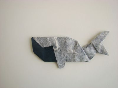 Baleine (R. Diaz)
