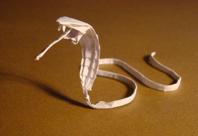 Cobra, de Pham Dieu Huy. 
Plié dans du papier imprimante, 40x2 cm

