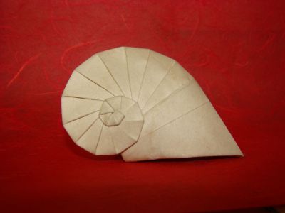 Navel Shell, de Tomoko Fuse
Papier peau d'éléphant, 20x20 cm
Mots-clés: shell Fuse