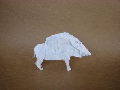 Divine Boar, de Satoshi Kamiya
papier imprimante, 40x40cm
