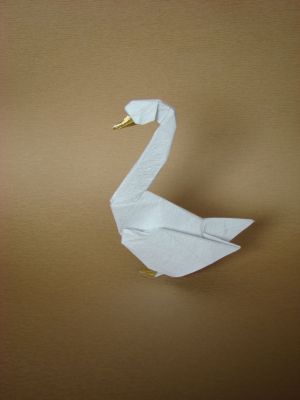 Cygne, de G. Hagiara
Washi deluxe, 25x25
