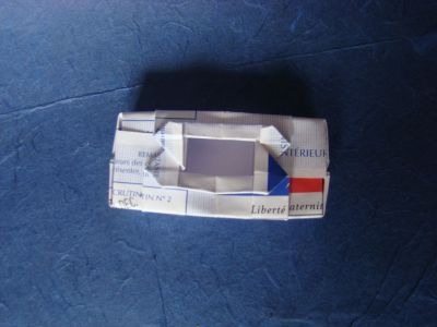 "Causes perdues": urne électorale (1) plié dans une carte l'électeur. 
