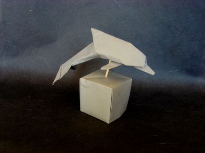 Dauphin (Quenin Trollip) (1)
Papier métallisé, 20x20 cm
