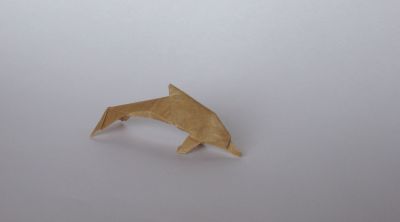 Dauphin, Quentin Trollip
Papier kraft, 7,5x7,5 cm
