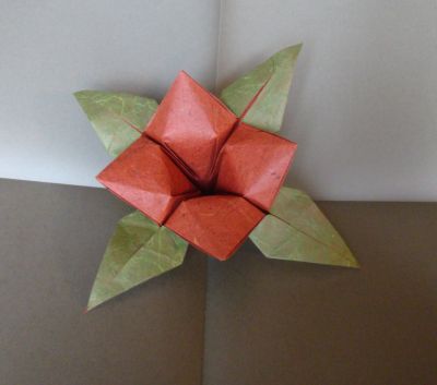 Fleur de roman Diaz
Papier banane et soie, 30x30 cm
