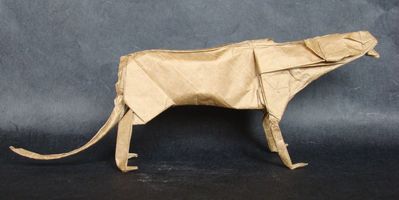 Guépard (Lionel Albertino)
Papier Kraft Alios 45x45 cm

