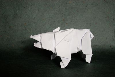 Ours de Nicolas Terry
Papier imprimante 30x30 cm
