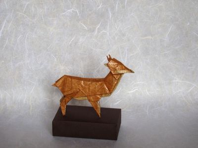 Pudu de Quentin Trollip
Papier métallisé grimoire + unryu, 27x27 cm
