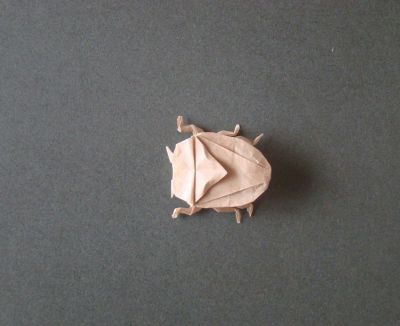 Punaise verte, Lionel albertino
Papier kraft, 7,5x7,5 cm.
