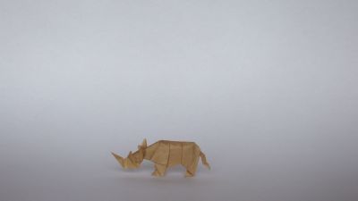 Rhinocéros, Quentin Trollip
Papier kraft 7,5x7,5 cm
