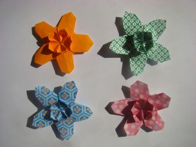Sakura Star (Ali Bahmani)
Kami 15x15 cm
