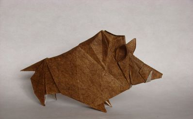 Sanglier de Roman Diaz
Papier fourrure + papier de soie
30x30 cm
