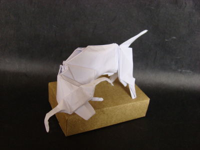 Taureau C. Boudias (1)
Papier d'imprimante, 30x30 cm
