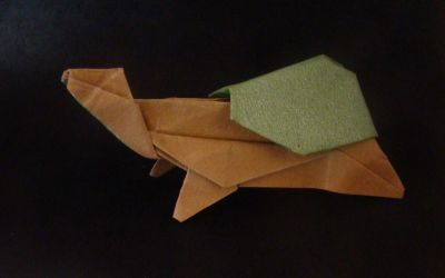Tortue (S. Yartsev)
