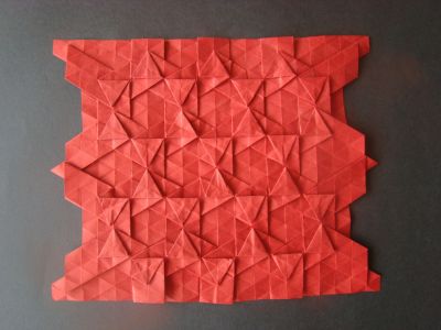 double pleat hexagon tessellation (Gjerde)
Papier biotope 35x35
