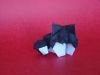 Nom du fichier=DSC06923.JPG
Taille du fichier=255Ko
Dimensions : 2048x1536
Ajouté le : 08 Septembre 2015 DSC06923.JPG