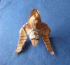 Nom du fichier=DSC08253.JPG
Taille du fichier=700Ko
Dimensions : 1793x1685
Ajouté le : 29 Juillet 2017 DSC08253.JPG