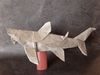 Grand_requin_blanc_28Q__Trollip29.JPG