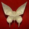 Nom du fichier=Papillon_1.JPG
Taille du fichier=498Ko
Dimensions : 1769x1821
Ajouté le : 02 Mars 2013 Papillon_1.JPG