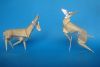 Nom du fichier=Pronghorn_et_springbox_28Trollip29_3.JPG
Taille du fichier=236Ko
Dimensions : 2048x1383
Ajouté le : 05 Juillet 2014 Pronghorn_et_springbox_28Trollip29_3.JPG