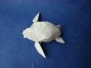 Nom du fichier=Tortue_de_mer_28Nguyen_Ngoc_Vu29.JPG
Taille du fichier=332Ko
Dimensions : 2048x1536
Ajouté le : 31 Janvier 2015 Tortue_de_mer_28Nguyen_Ngoc_Vu29.JPG
