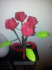 20130211_211216.jpg
