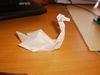 cygne1.jpg