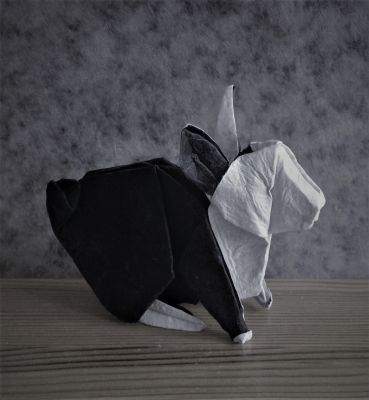 Whisky le Lapin
" Black and White " !!
