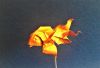 Nom du fichier=WIN_20170331_15_00_40_Pro.jpg
Taille du fichier=438Ko
Dimensions : 2048x1400
Ajouté le : 16 Juillet 2017 WIN_20170331_15_00_40_Pro.jpg
