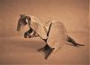 Nom du fichier=WIN_20170331_15_05_22_Pro.jpg
Taille du fichier=373Ko
Dimensions : 2048x1480
Ajouté le : 16 Juillet 2017 WIN_20170331_15_05_22_Pro.jpg