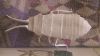 Nom du fichier=WIN_20170822_15_49_46_Pro.jpg
Taille du fichier=399Ko
Dimensions : 1678x944
Ajouté le : 02 Septembre 2017 WIN_20170822_15_49_46_Pro.jpg