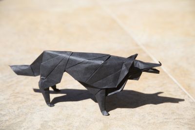 Loup
modèle de Hideo Komatsu

