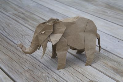 african elephant
model by SHUKI KATO
