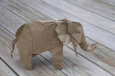 African Elephant by Shuki Kato
