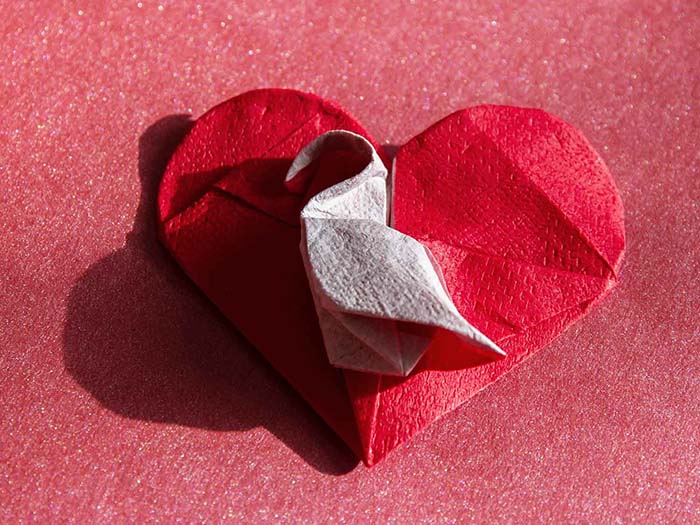 Task 1 - Heart With A Swan
Papier : deux épaisseurs rouges et deux épaisseurs blanches de serviettes de table collées au MC.
Mots-clés: Origami olympiades 2016