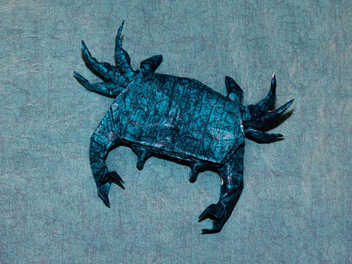 Task 7 - Shore crab
Papier : deux (ou une ? ) épaisseurs d'essuie tout de laboratoire et une feuille pour collage sur carton collées au MC.
Mots-clés: Origami olympiades 2016