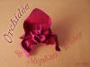 Nom du fichier=Orchidee2C_Stephan_Weber.jpg
Taille du fichier=1665Ko
Dimensions : 2000x1500
Ajouté le : 26 Octobre 2013 Orchidee2C_Stephan_Weber.jpg