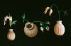 Nom du fichier=Round_1_-_Task_1_-_Clematis_sibirica.jpg
Taille du fichier=643Ko
Dimensions : 1500x979
Ajouté le : 06 Novembre 2017 Round_1_-_Task_1_-_Clematis_sibirica.jpg