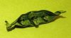 Nom du fichier=Task_5_-_Rest_In_Peas.jpg
Taille du fichier=126Ko
Dimensions : 700x380
Ajouté le : 17 Novembre 2016 Task_5_-_Rest_In_Peas.jpg
