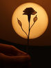 Nom du fichier=rose_contrejour.jpg
Taille du fichier=84Ko
Dimensions : 500x667
Ajouté le : 17 Mai 2013 rose_contrejour.jpg