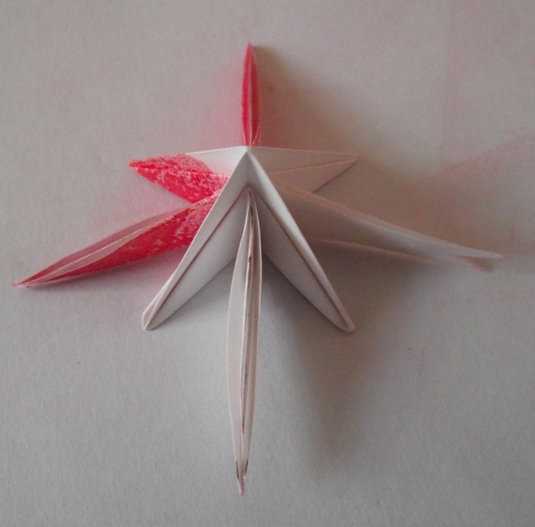 fleur coupee etape 9
