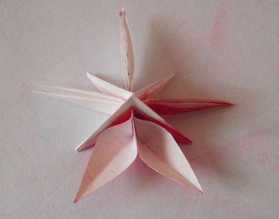 fleur coupee etape 11
