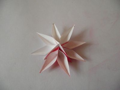 fleur coupee etape 11
