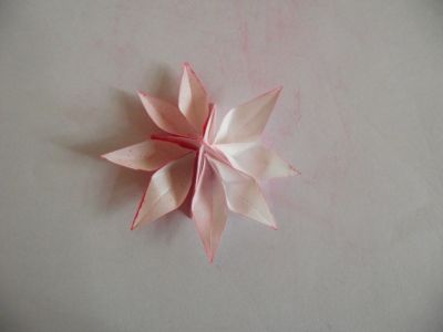 fleur coupee
heu, mon premier crime
