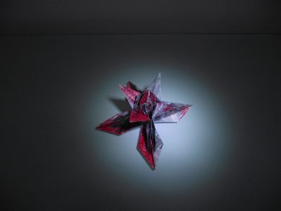rose sanglante
modulaire, teintée, et attention ça peut piquer !
