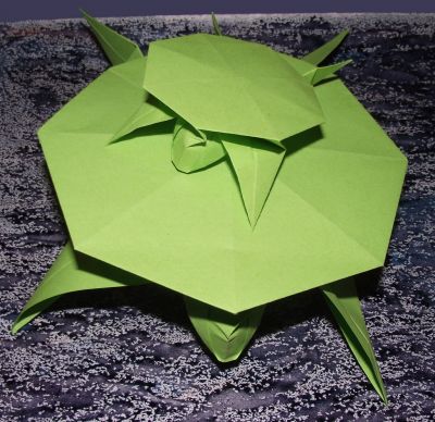 Tortue de mer
tortue battant des pattes avant uniquement !
