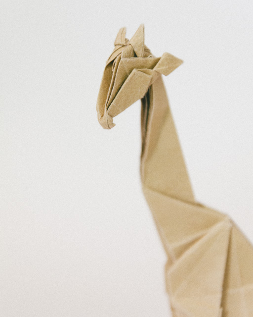 Mots-clés: Origami