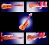 Nom du fichier=inst_guitarra2.jpg
Taille du fichier=98Ko
Dimensions : 1181x1090
Ajouté le : 17 Juin 2013 inst_guitarra2.jpg
